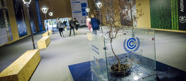 UN-Klimagipfel 2022 COP27 (Foto: IMAGO, IMAGO / photothek)