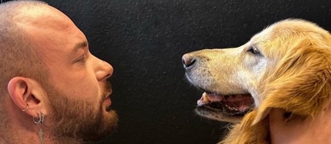Murat Colak behandelt einen Hund  (Foto: Instagram @bones_hands_animals)