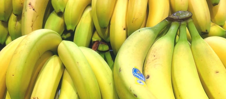 Bananen aus dem Supermarkt in der Nahaufnahme. (Foto: IMAGO, IMAGO / mix1)