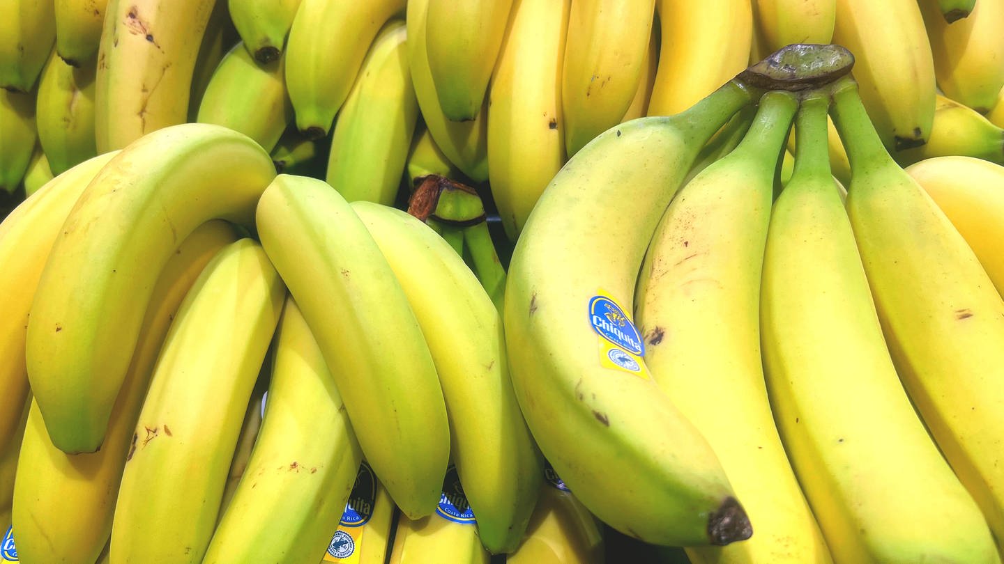 Bananen aus dem Supermarkt in der Nahaufnahme. (Foto: IMAGO, IMAGO / mix1)