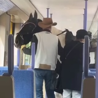 Zu sehen ist ein Mann mit einem Pferd in der Straßenbahn (Foto: Instagram @gerome0711)