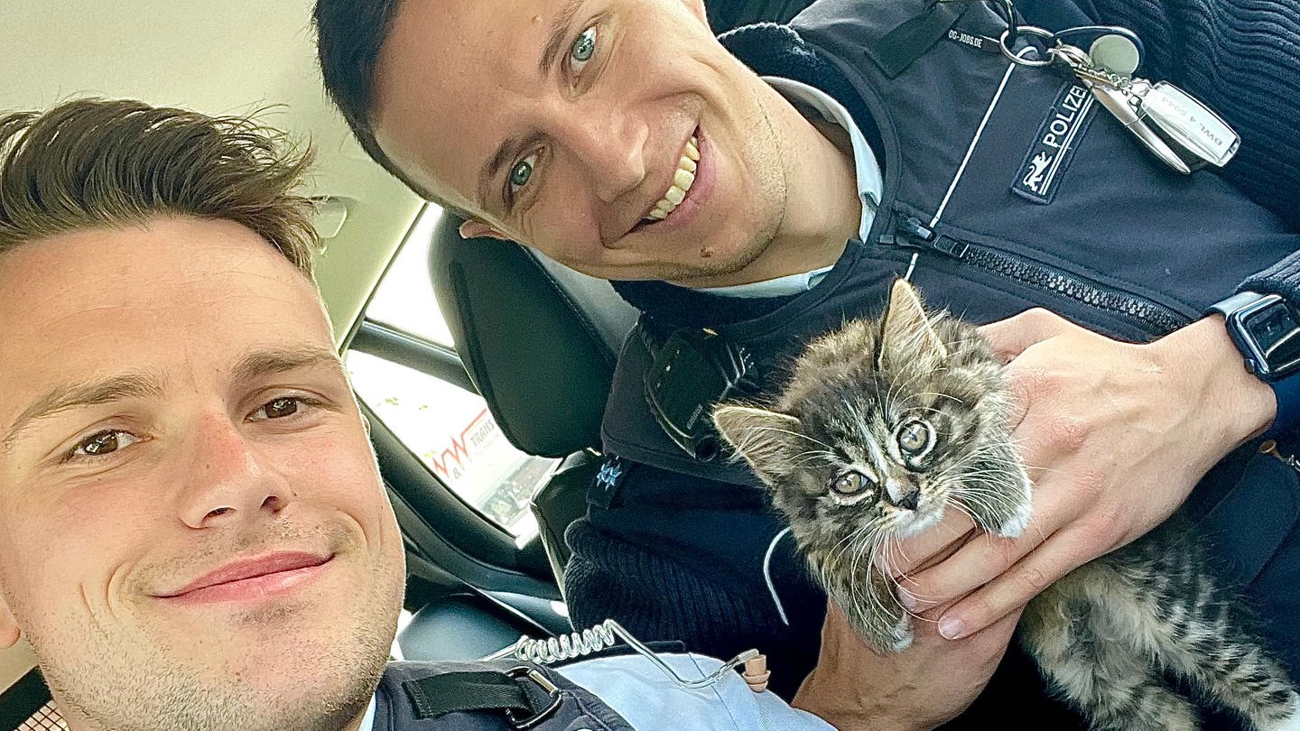 Zwei Polizisten retteten ein Kätzchen auf der A5 bei Achern. Foto: Polizeipräsidium Offenburg (Foto: Polizeipräsidium Offenburg)