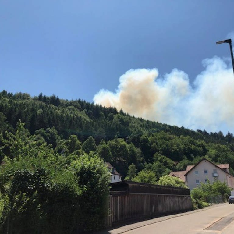 Zwischen Pirmasens und Rodalben brennt ein großes Waldstück. (Foto: Twitter / Polizei Kaiserslautern)