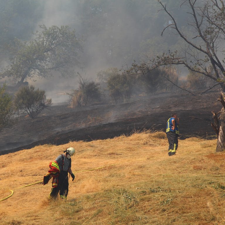 Feuerwehrleute bekämpfen einen Flächenbrand in Gaggenau. Der Waldverband warnt vor größeren Folgen wegen Trockenheit. (Foto: dpa Bildfunk, picture alliance/dpa/Badische Neueste Nachrichten | Thomas Senger)