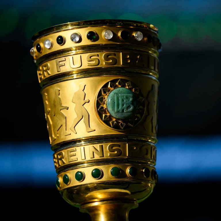 Der DFB-Pokal. Schott Mainz spielt in der ersten Runde gegen den BVB  (Foto: dpa Bildfunk, picture alliance/dpa | Tom Weller)