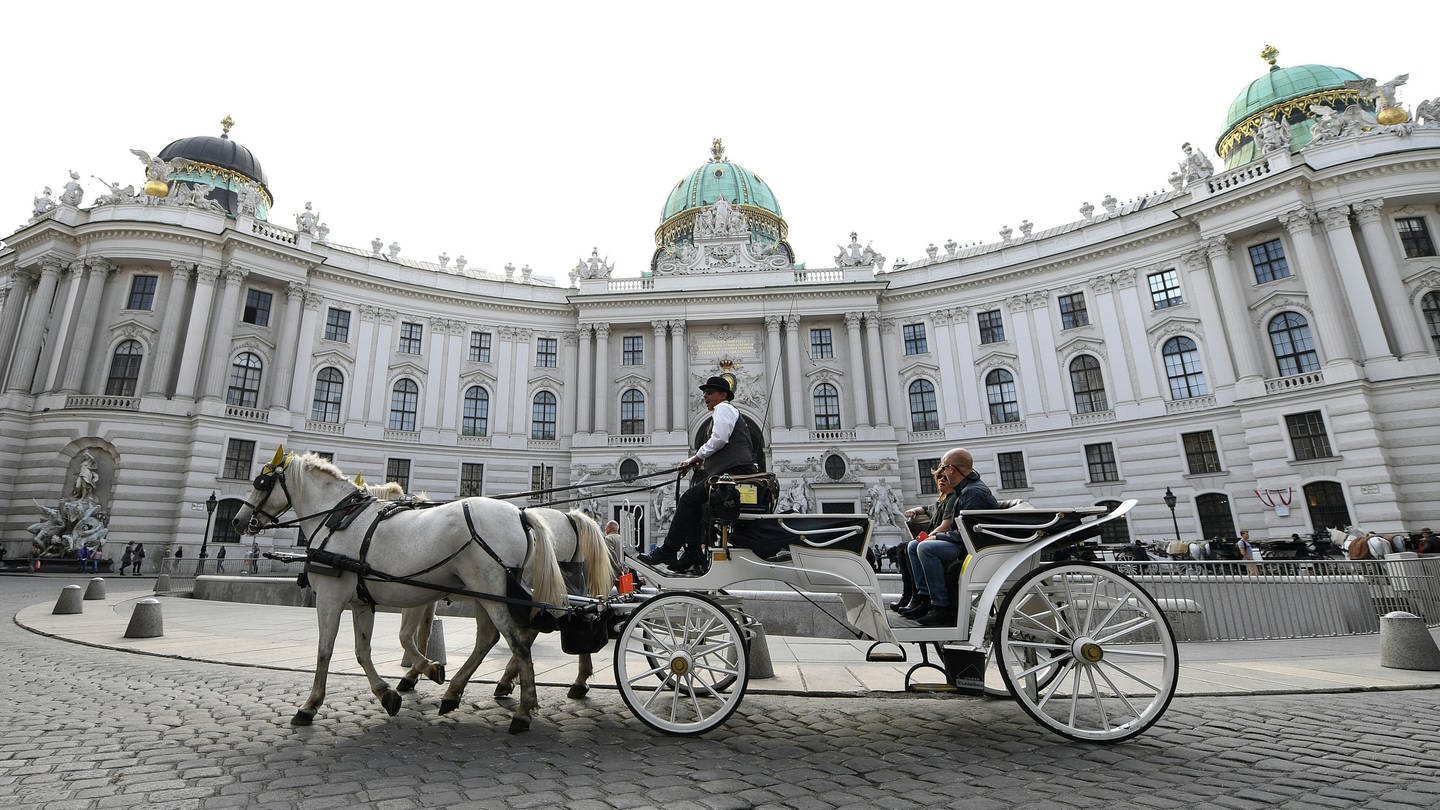 Wien und die Hofburg (Foto: dpa Bildfunk, picture alliance/dpa | Helmut Fohringer)
