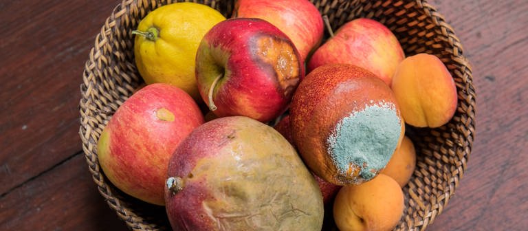 Ein Obstkorb voller verdorbenem Obst. Die EU-Kommission will die Lebensmittelverschwendung bis 2030 erheblich reduzieren. (Foto: IMAGO, Marius Schwarz)