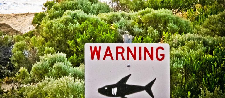 Ein Schild mit der Aufschrift "Warning shark sighting" (dt. Achtung Hai gesichtet) ist in der Nähe von Prevelly Beach aufgestellt.  (Foto: SWR DASDING, picture alliance/dpa/AAP | Rebecca Le May)