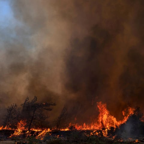 Nahe der Ortschaft Vati im Süden der Insel Rhodos steht ein Wald in Flammen. In Griechenland toben Waldbrände in zahlreichen Regionen. Die Brandgefahr in fast allen Regionen Griechenlands bleibt extrem hoch. (Foto: dpa Bildfunk, picture alliance/dpa/AP | Petros Giannakouris)