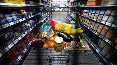 Verschiedene Lebensmittel liegen in einem Supermarkt in einem Einkaufswagen. Immer mehr Deutsche müssen sich beim Essen einschränken. (Foto: dpa Bildfunk, picture alliance/dpa | Sven Hoppe)
