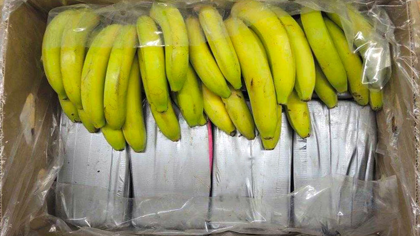 In Bananenkisten aus Ecuador sichergestelltes Kokain. Im Hafen von Rotterdam hat der Zoll Kokain im Wert von 600 Millionen Euro gefunden. (Symbolfoto) (Foto: dpa Bildfunk, picture alliance/dpa/Landeskriminalamt Baden-Württemberg)