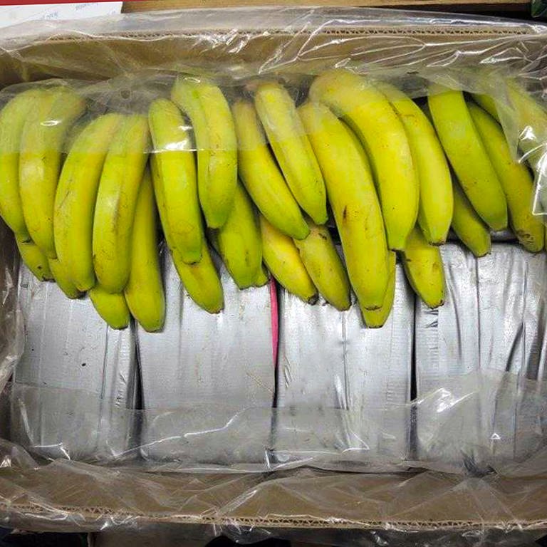 In Bananenkisten aus Ecuador sichergestelltes Kokain. Im Hafen von Rotterdam hat der Zoll Kokain im Wert von 600 Millionen Euro gefunden. (Symbolfoto) (Foto: dpa Bildfunk, picture alliance/dpa/Landeskriminalamt Baden-Württemberg)