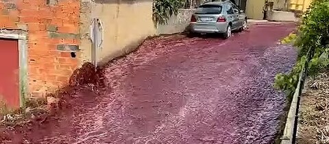 Rotweinfluss in einem portugisischen Dorf (Foto: Dailymail)