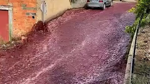 Rotweinfluss in einem portugisischen Dorf (Foto: Dailymail)