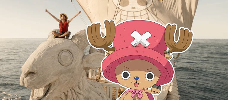 Die Netflix-Erfolgsserie "One Piece" geht weiter - mit Chopper?! (Foto: SWR DASDING, Netflix, Toei Animation, DASDING (Fotomontage))