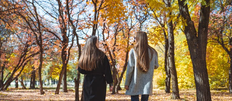 Zwei junge Frauen laufen durch einen Wald im Herbst. (Foto: IMAGO, Pond5 Images)
