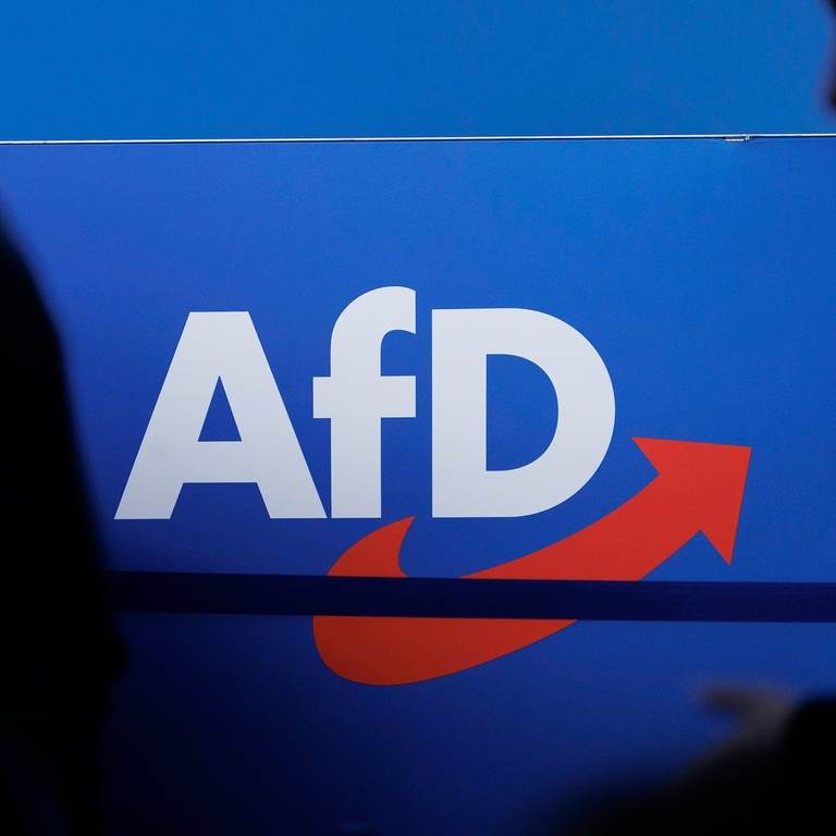 Der Verfassungsschutz hat den AfD-Landesverband Sachsen-Anhalt als "gesichert rechtsextremistisch" eingestuft. (Foto: dpa Bildfunk, picture alliance/dpa | Carsten Koall)