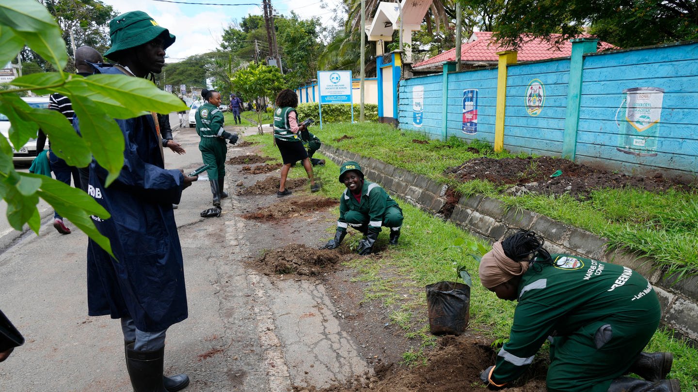 Bäumepflanzen in Kenia (Foto: dpa Bildfunk, picture alliance/dpa/AP | Sayyid Abdul Azim)