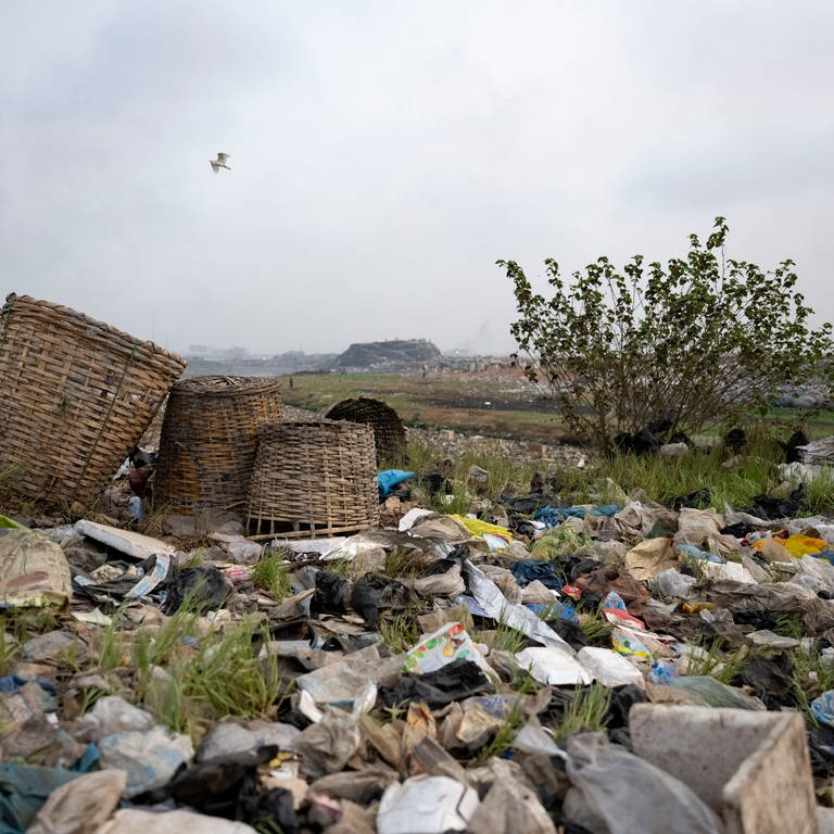 Müll in Ghana (Foto: dpa Bildfunk, picture alliance/dpa | Christophe Gateau)