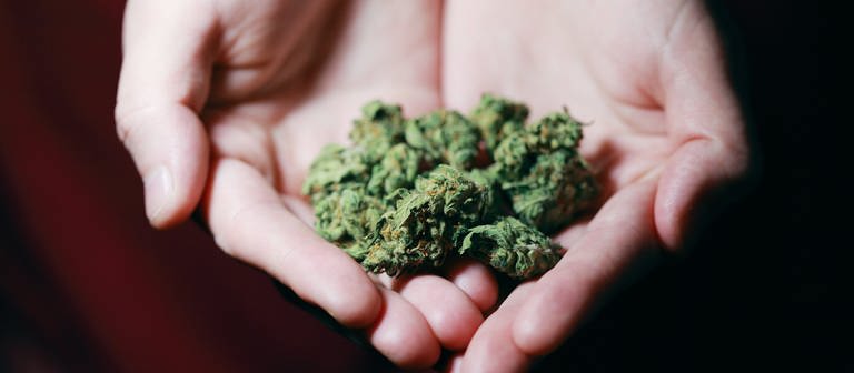 Eine ausgestreckte Hand hält Marihuanaknollen. (Foto: Pexels / Alexander Grey)