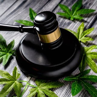 Der Richterbund hat sich gegen die geplante Cannabis-Legalisierung ausgesprochen. (Foto: IMAGO, IMAGO / Bihlmayerfotografie)