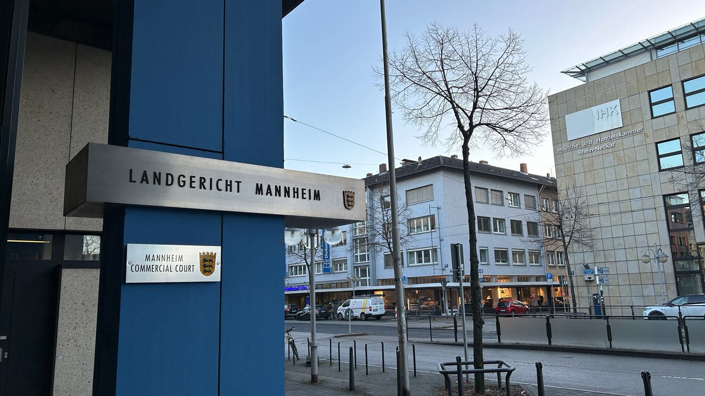 Im Prozess um den Tod eines Mannes nach einem Polizeieinsatz in Mannheim hat das Landgericht den Hauptangeklagten zu einer Geldstrafe verurteilt. (Foto: SWR)