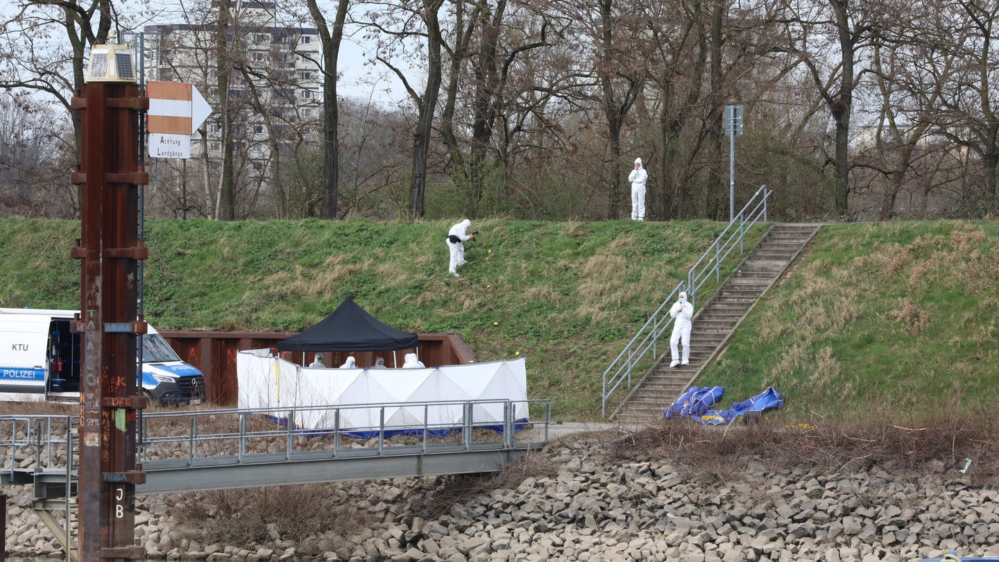 Polizisten untersuchen am Fundort einer Leiche die Umgebung. Am Hafen in Köln ist am Sonntagmorgen ein 15-Jähriger tot an einer Landzunge gefunden worden. (Foto: picture-alliance / Reportdienste, picture alliance/dpa | Sascha Thelen)