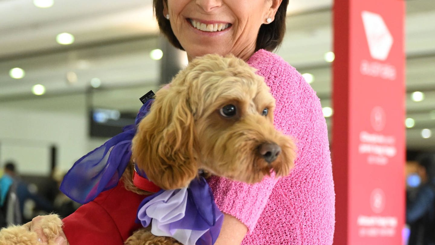 Hund und Frau am Flughafen - Symbolbild. (Foto: IMAGO, IMAGO / AAP)