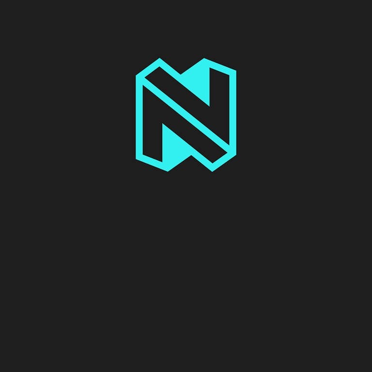Logo Newszone (Photo : SWR DASDING)