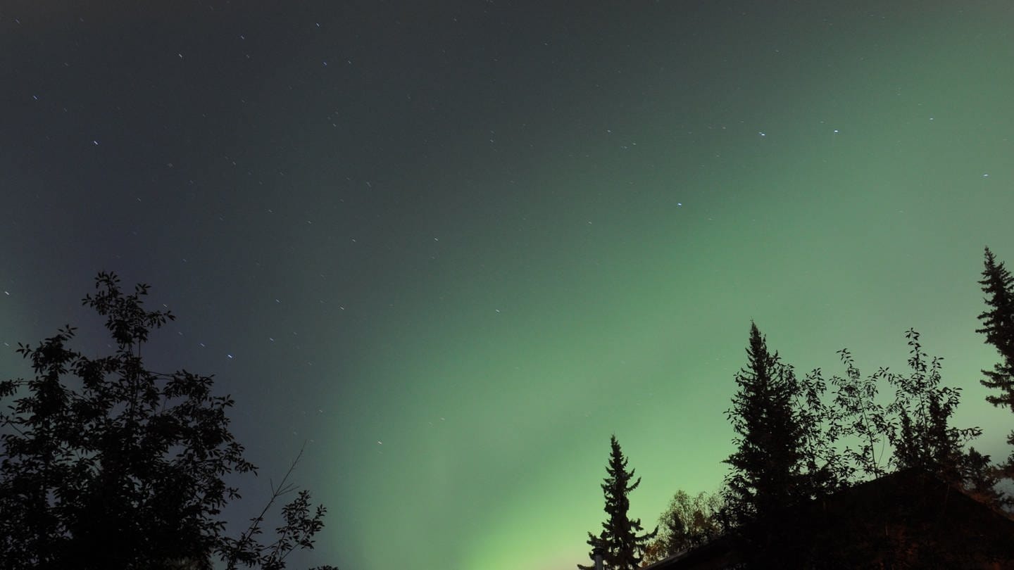 Grünes Band eines Polarlichtes strahlt am klaren Nachthimmel. (Foto: dpa Bildfunk, picture alliance/dpa | Finn Huwald)