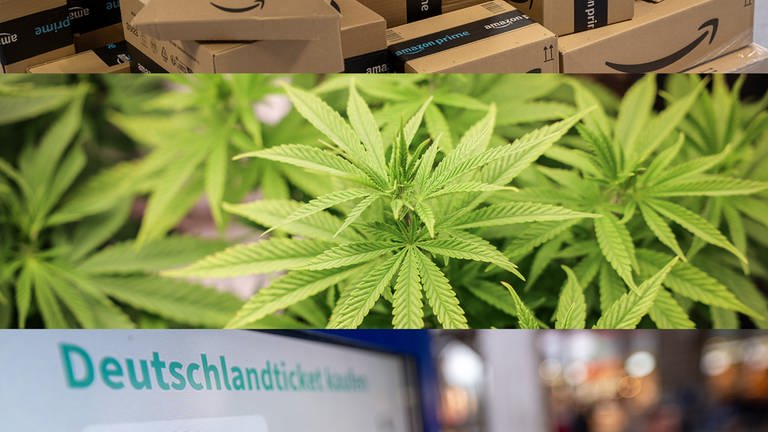 Cannabis wird teilweise legal und Amazon-Pakete musst du schneller zurückgeben. Was ändert sich im April? (Foto: dpa Bildfunk, picture alliance/dpa | Peter Kneffel / picture alliance/dpa | Christian Charisius / picture alliance/dpa | Sebastian Gollnow)