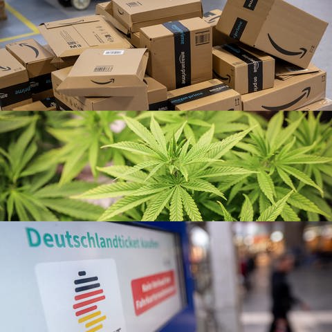Cannabis wird teilweise legal und Amazon-Pakete musst du schneller zurückgeben. Was ändert sich im April? (Foto: dpa Bildfunk, picture alliance/dpa | Peter Kneffel / picture alliance/dpa | Christian Charisius / picture alliance/dpa | Sebastian Gollnow)