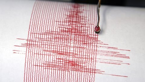 Das Seismogramm zeigt die Ausschläge eines leichten Erdbebens (Foto: dpa Bildfunk, picture alliance / dpa | Federico Gambarini)