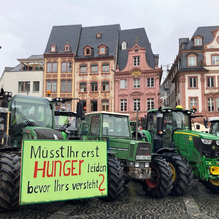 Rheinhessische Bauern haben am Mittwoch auf dem Markt vor dem Mainzer Dom gegen die EU-Verordnung zu Insekten- und Pflanzenschutz demonstriert. 