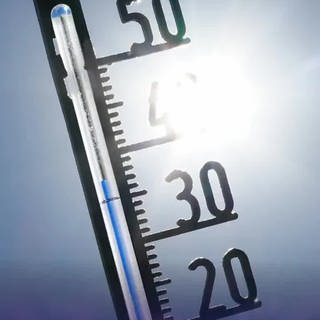 Symbolbild: Thermometer mit dem Text "Kühlung der Erde mit Meersalz?" (Foto: SWR DASDING)