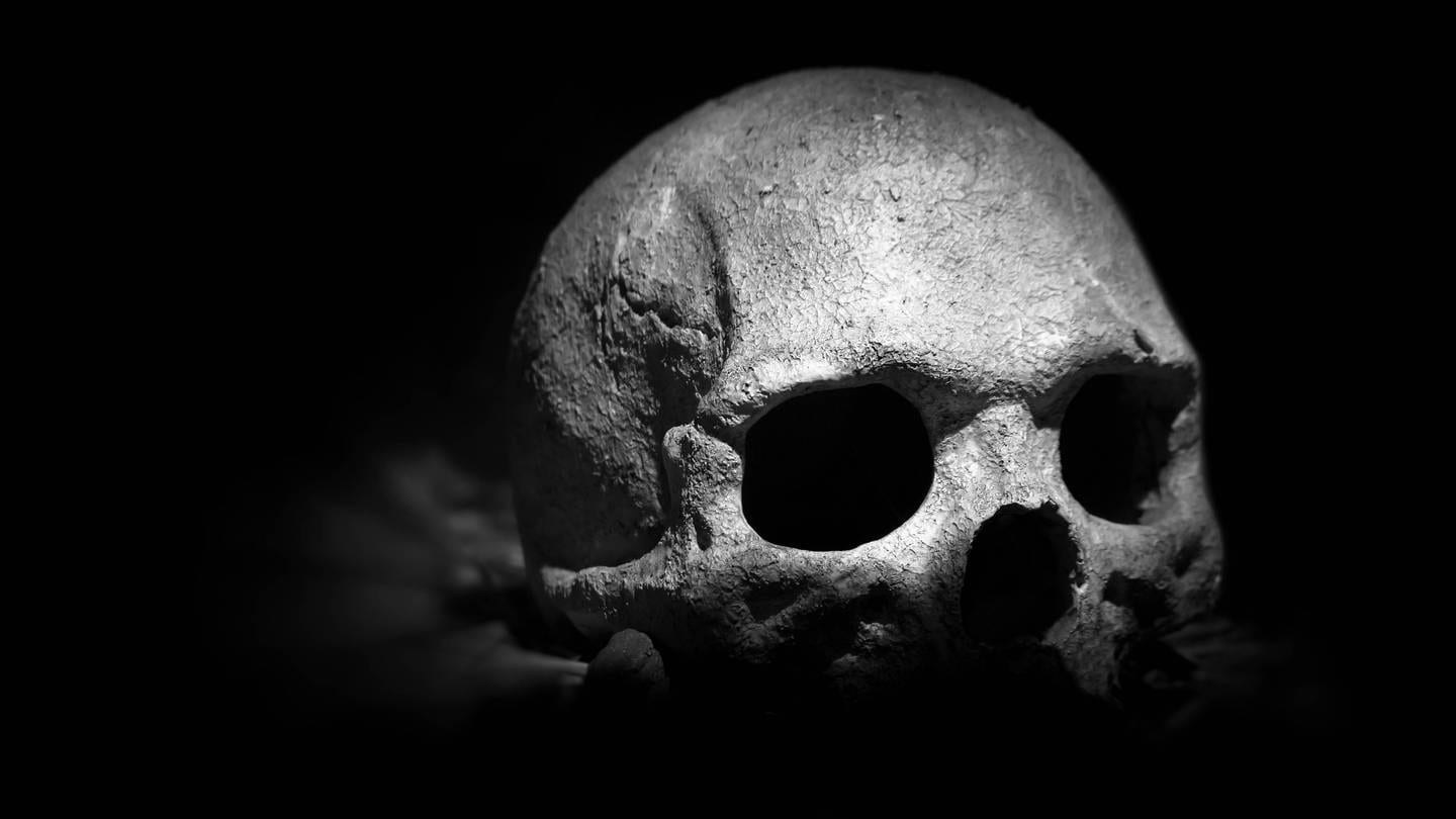 Bild von einem menschlichen Schädel auf schwarzem Hintergrund (Symbolbild) (Foto: IMAGO, IMAGO / YAY Images)