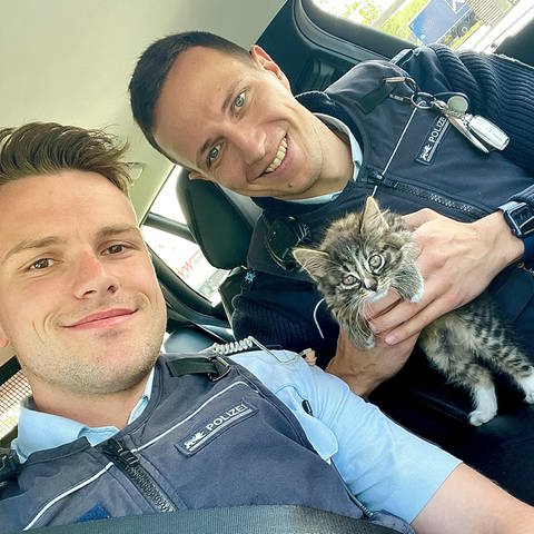 Zwei Polizisten retteten ein Kätzchen auf der A5 bei Achern. Foto: Polizeipräsidium Offenburg