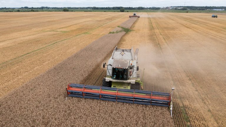 Ein Mähdrescher erntet Weizen. Russland sperrt sich gegen eine Verlängerung des Abkommens zur Ausfuhr von ukrainischem Getreide über das Schwarze Meer. Ein Auslaufen der Initiative hätte schwere Konsequenzen - für ärmere Länder und für die Welt.