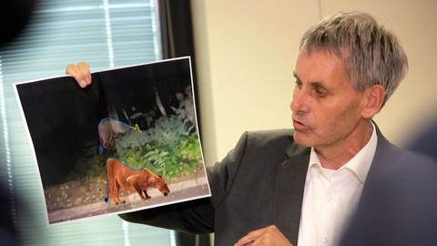 Michael Grubert, Bürgermeister von Kleinmachnow, erklärt anhand von Fotos, weshalb es sich bei dem gesuchten Raubtier um keine Löwin handelt. Die Polizei hat Entwarnung gegeben. (Foto: dpa Bildfunk, picture alliance/dpa | Paul Zinken)