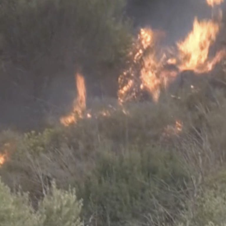 Auf diesem Videostandbild brennt ein Waldbrand in der Provinz Bouira. Wie in anderen Ländern im Mittelmeerraum haben Brände auch in Algerien und Tunesien teils große Schäden angerichtet und dort auch zu Todesopfern geführt.