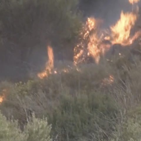 Auf diesem Videostandbild brennt ein Waldbrand in der Provinz Bouira. Wie in anderen Ländern im Mittelmeerraum haben Brände auch in Algerien und Tunesien teils große Schäden angerichtet und dort auch zu Todesopfern geführt. (Foto: dpa Bildfunk, picture alliance/dpa/AP | Uncredited)