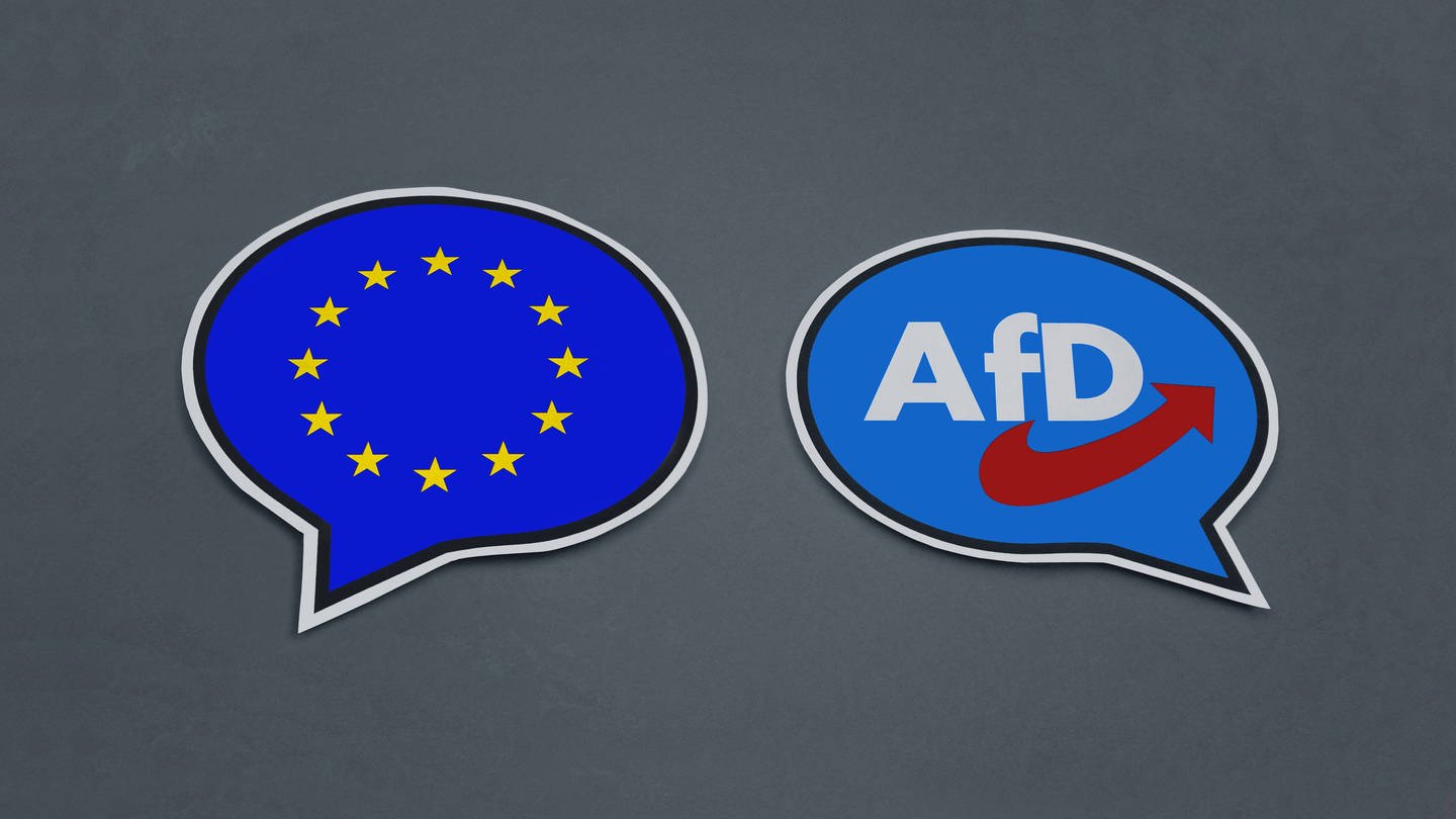 Die AfD hielt eine Versammlung für die Europawahl ab. (Foto: IMAGO, IMAGO / Steinach)