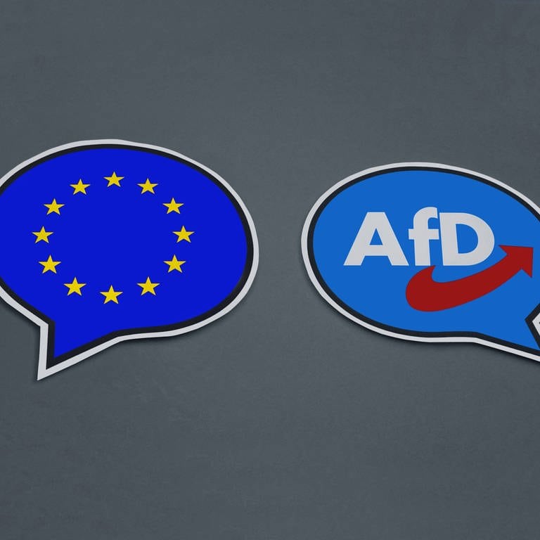 Die AfD hielt eine Versammlung für die Europawahl ab. (Foto: IMAGO, IMAGO / Steinach)
