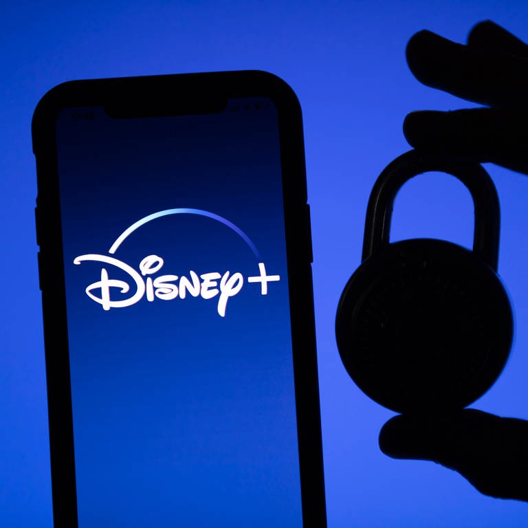 Disney will künftig wohl wie Netflix das Account-Sharing verbieten. (Foto: IMAGO, IMAGO / Pond5 Images)