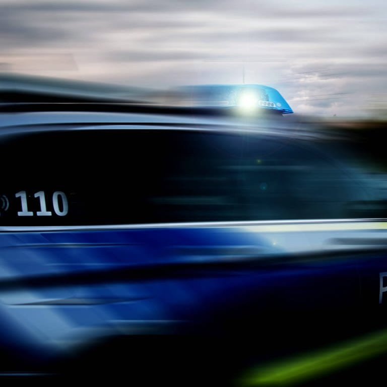 In Heilbronn hat die Polizei eine junge Mädchen-Gang ermittelt. Sie soll für 23 Straftaten verantwortlich sein.