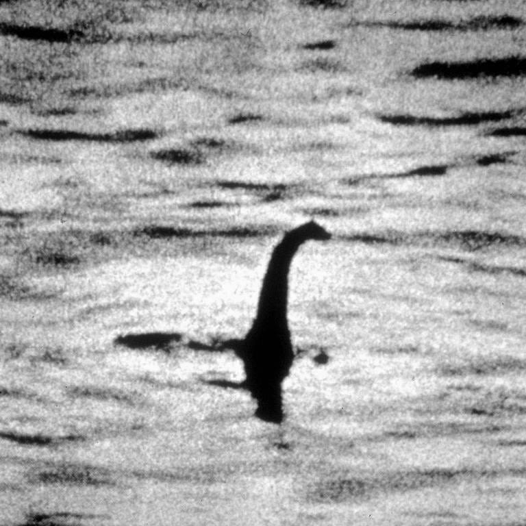 Das Monster von Loch Ness. (Foto: IMAGO, IMAGO / Allstar)