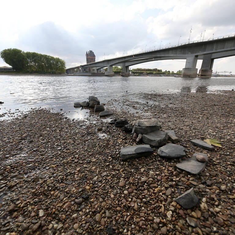 Sandbank südlich von Worms. Wassermangel und Trockenheit führen zu einem weiter sinkenden Pegel am Rhein bei Worms.  (Foto: IMAGO, IMAGO / Thomas Frey)