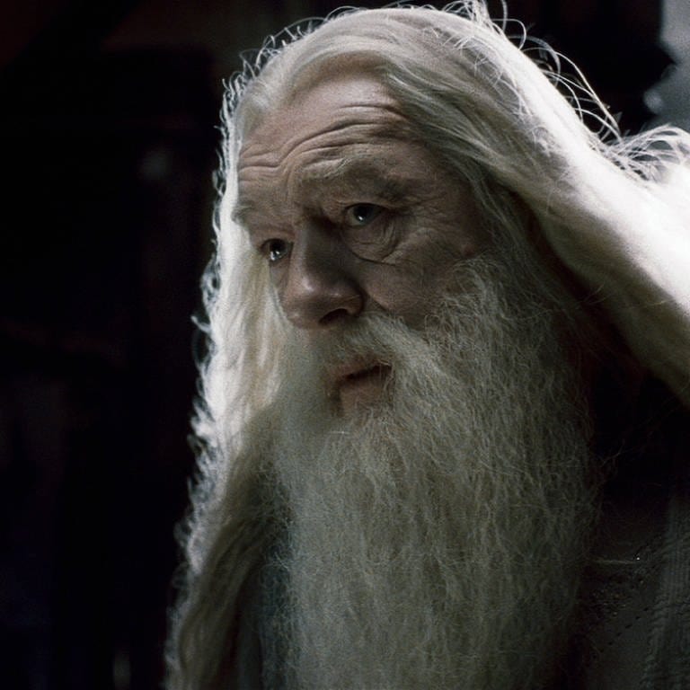 Michael Gambon als Albus Dumbledore