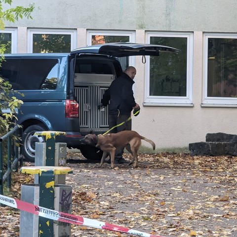 Durchsuchungen der Polizei an verschiedenen Schulen in Deutschland nach Bombendrohungen.