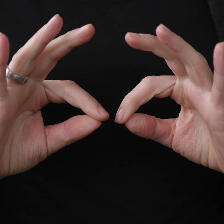 SYMBOLBILD: Die Gebärdendolmetscherin Enders zeigt am 25.01.2017 in Frankfurt am Main (Hessen) mit ihren Fingern das Wort "regelmäßig" in Gebärdensprache. 